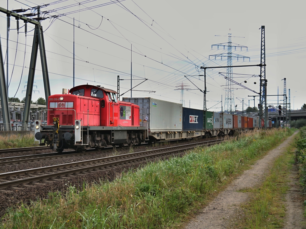 Loks DB BR 295